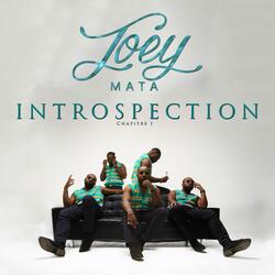 Intro (Introspection)