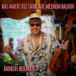 Was macht die Taube auf meinem Balkon