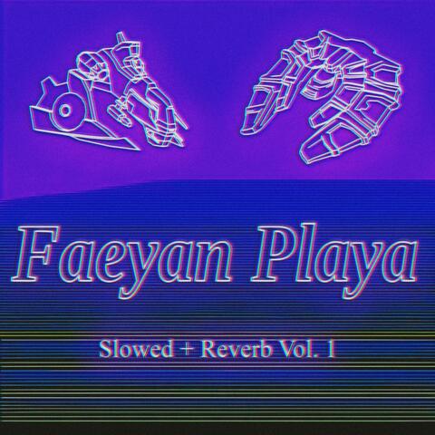 Slowed + Reverb Vol. 1