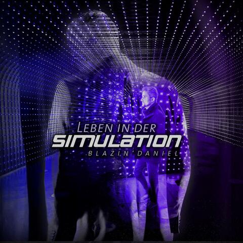 Leben in der Simulation