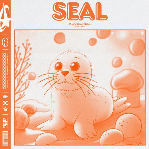 Seal Pup's Starry Skies