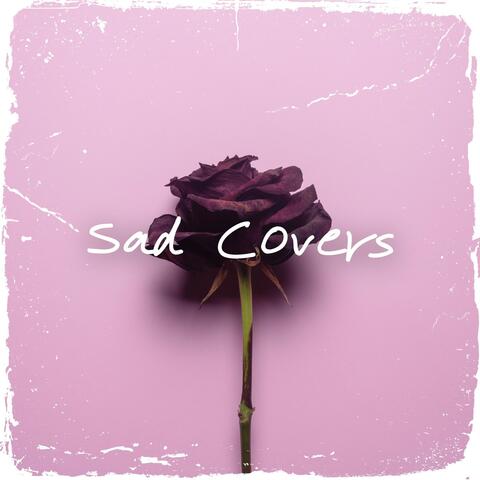 Sad Covers 2024: Best Sad Cover Pop Music Picks for You