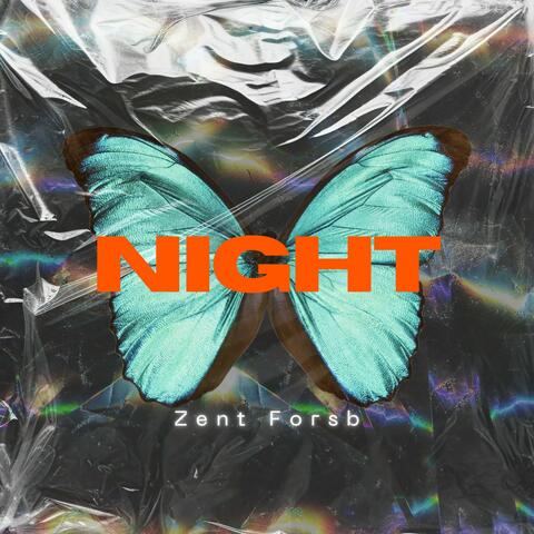 Night