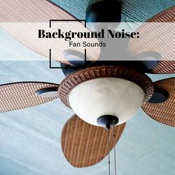 Fan Sounds, Pt. 17