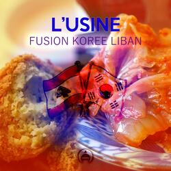 Fusion Korée Liban