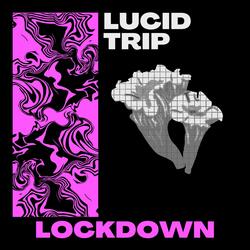 Lockdown