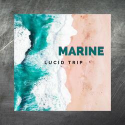 Marine