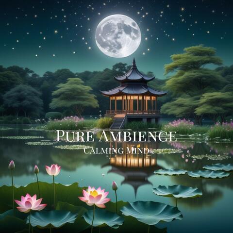 Pure Ambience