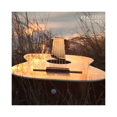 Peaceful Tunes: Chill Guitar Instrumentals