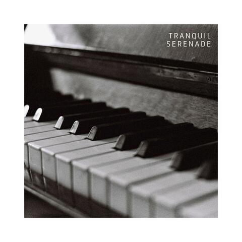 Tranquil Serenade: Relaxing Piano Tunes