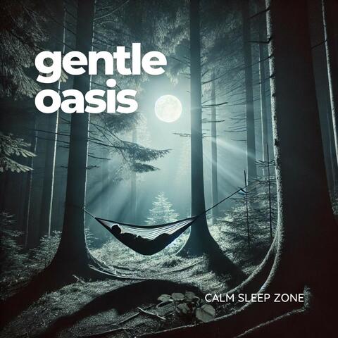 Gentle Oasis: Deep Sleep Music Playlist