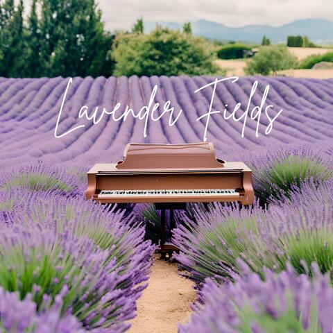 Lavender Fields: Smooth Piano Collection