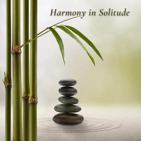 Harmony in Solitude: Calming Spa Melodies