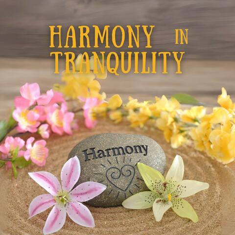 Harmony in Tranquility: Peaceful Massage Sounds