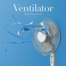 Calming Rotating Fan