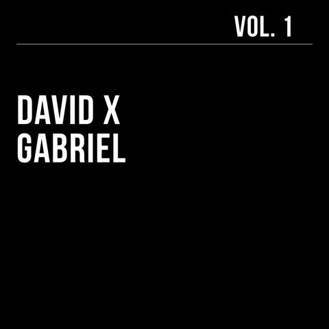 David X Gabriel, Vol. 1