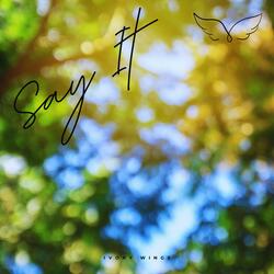 Say It