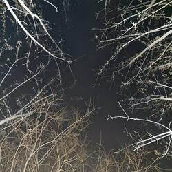 Разве я не готов?