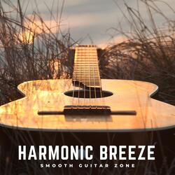 Instrumental Guitar Music