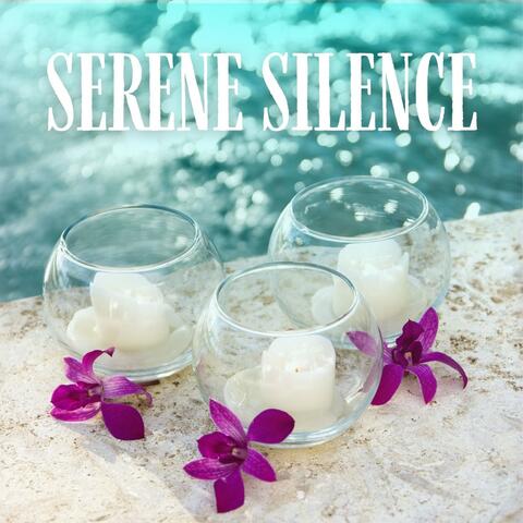 Serene Silence: Calming Spa Music