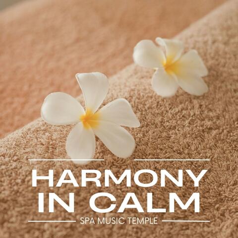 Harmony in Calm: Peaceful Massage Sounds