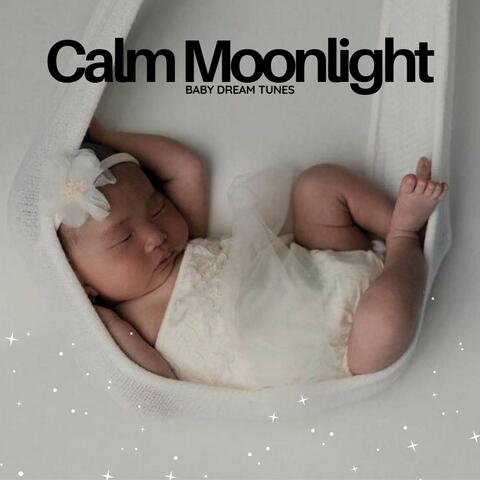 Calm Moonlight: Baby Lullabies