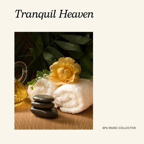 Tranquil Haven: Spa Music