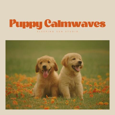 Puppy Calmwaves