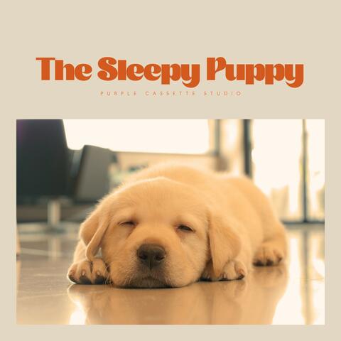 The Sleepy Puppy