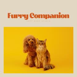 Shoreline's Sweet Slush