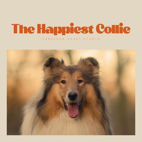 The Happiest Collie