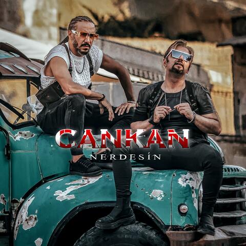 Nerdesin
