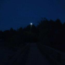 King of the Night