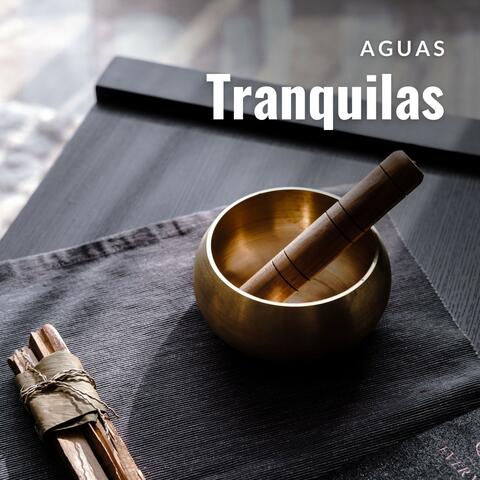 Aguas Tranquilas: Música de Masaje