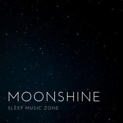 Soothing Pine Forest