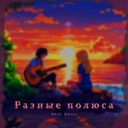 Разные полюса