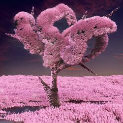 На ГРУСТНОМ