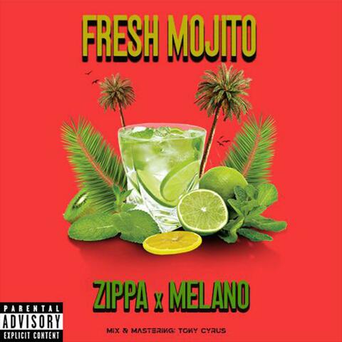 Fresh Mojito