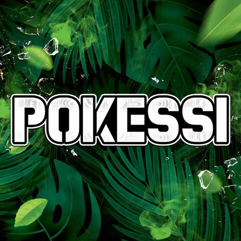 Pokessi 2024