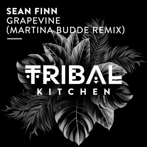 Sean Finn