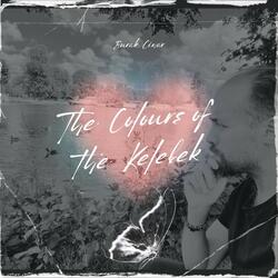 The Colours of the Kelebek