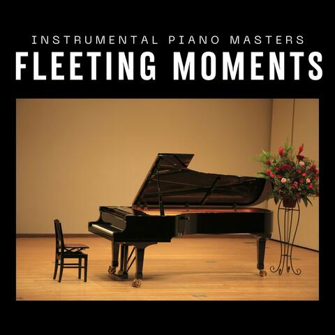 Fleeting Moments: Piano Music for Relaxation