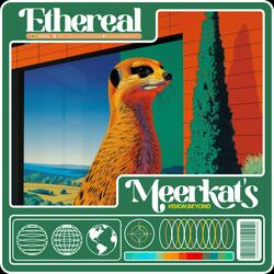 Tranquil Tidal Tune