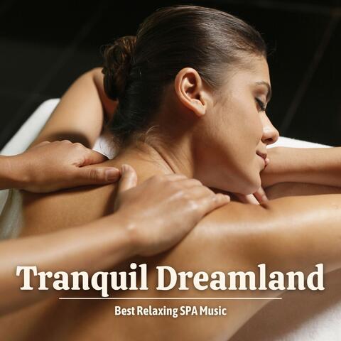 Tranquil Dreamland: Massage Therapy Music