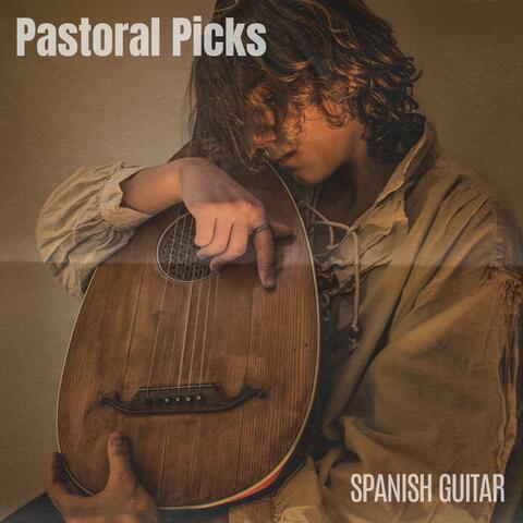 Pastoral Picks: Relaxing Guitar Covers