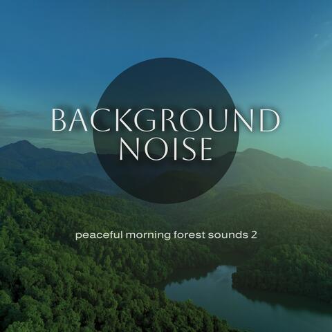 Background Noise: Peaceful Morning Forest Sounds 2