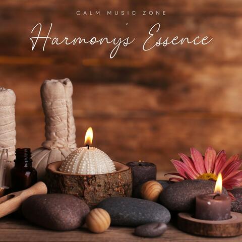 Calm Music Zone