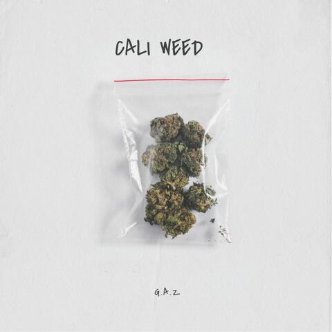 Gaz