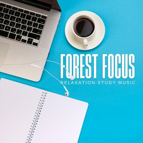 Forest Focus: Concentration Music