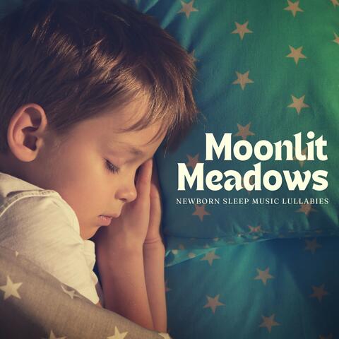 Moonlit Meadows: Baby Sleep Music